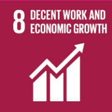 SDG Decent Work Trabajo Decente